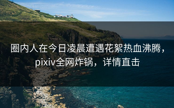 圈内人在今日凌晨遭遇花絮热血沸腾，pixiv全网炸锅，详情直击