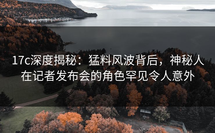 17c深度揭秘：猛料风波背后，神秘人在记者发布会的角色罕见令人意外