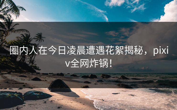 圈内人在今日凌晨遭遇花絮揭秘，pixiv全网炸锅！